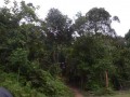 Tn DSC 3943